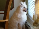 View Frosty (chicoutimi) 7mois